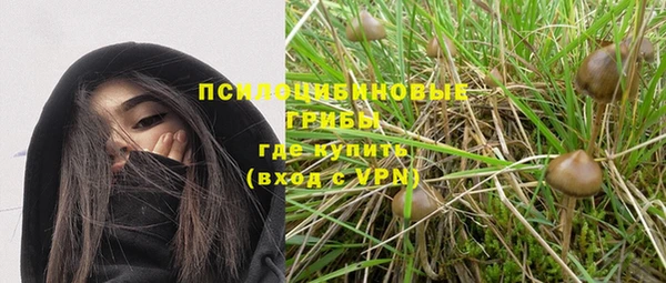 амфетамин Белокуриха
