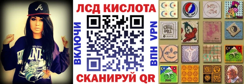 как найти наркотики  Шилка  Марки NBOMe 1500мкг 